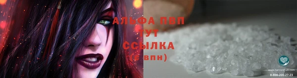 бошки Бородино