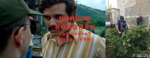 стаф Бронницы