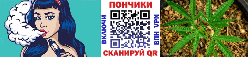 omg зеркало  Северодвинск  Каннабис план  купить наркотики цена 